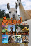 Llama Trekking Story