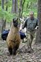llama trek